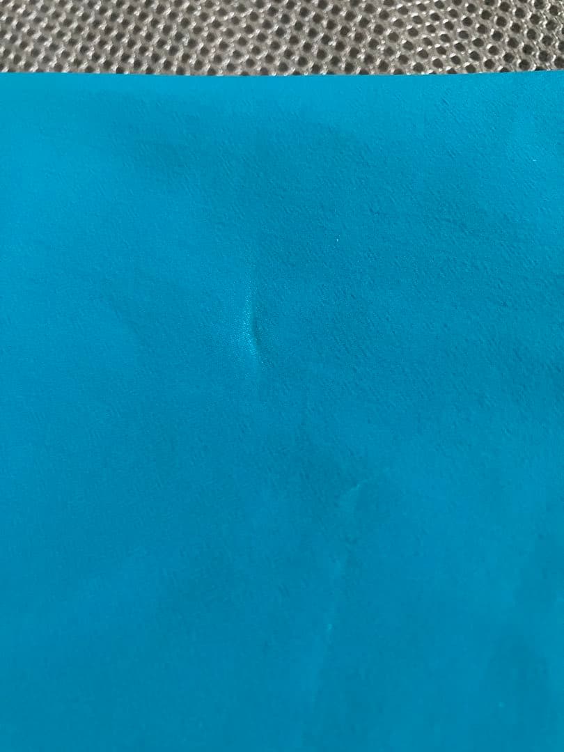 ⭐︎アークテリクス ARC'TERYX スティンガーSV パンツ BIRDAID付