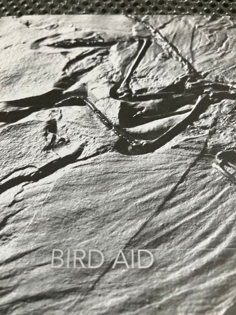 ⭐︎アークテリクス ARC'TERYX スティンガーSV パンツ BIRDAID付