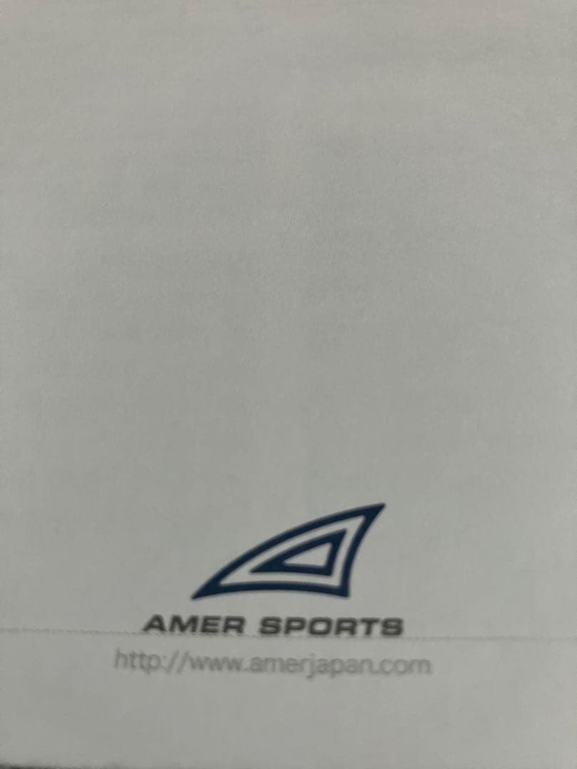 ⭐︎アークテリクス ARC'TERYX スティンガーSV パンツ BIRDAID付