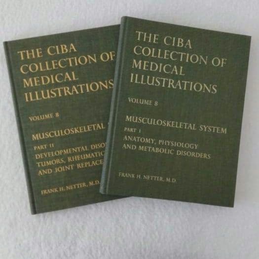 洋書・希少 CIBA医学イラスト集第8巻Ⅰ&Ⅱ フランクH.ネッター／英語版