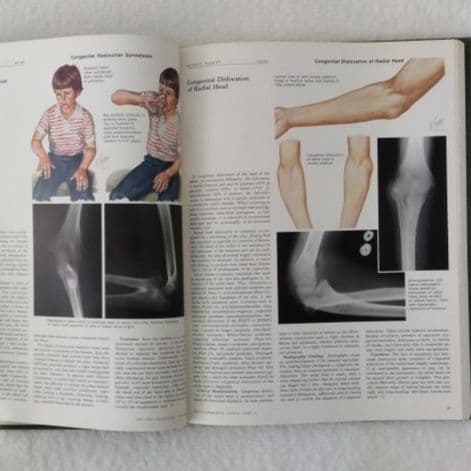 洋書・希少 CIBA医学イラスト集第8巻Ⅰ&Ⅱ フランクH.ネッター／英語版