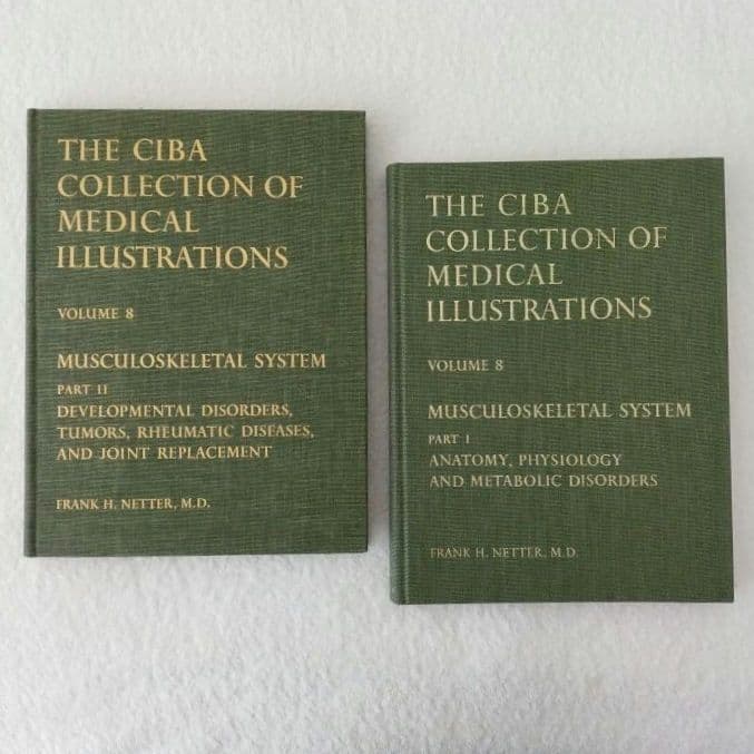 洋書・希少 CIBA医学イラスト集第8巻Ⅰ&Ⅱ フランクH.ネッター／英語版