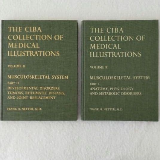 洋書・希少 CIBA医学イラスト集第8巻Ⅰ&Ⅱ フランクH.ネッター／英語版