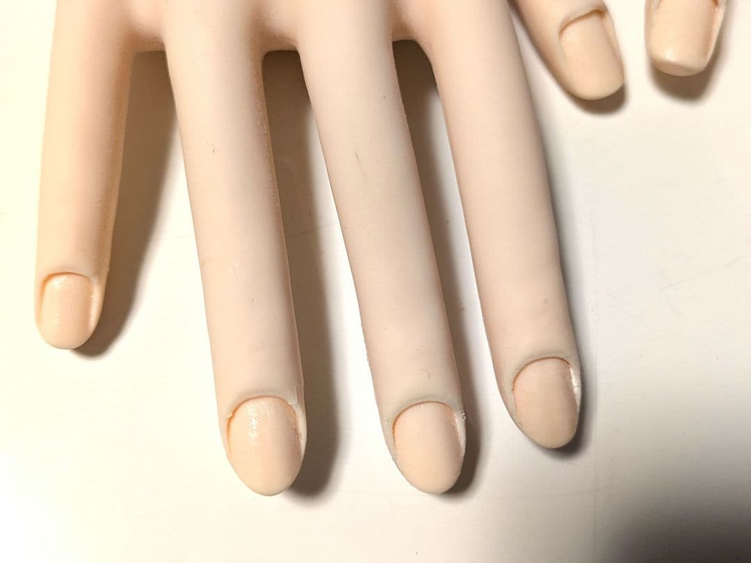 ネイル検定認定ハンドモデル