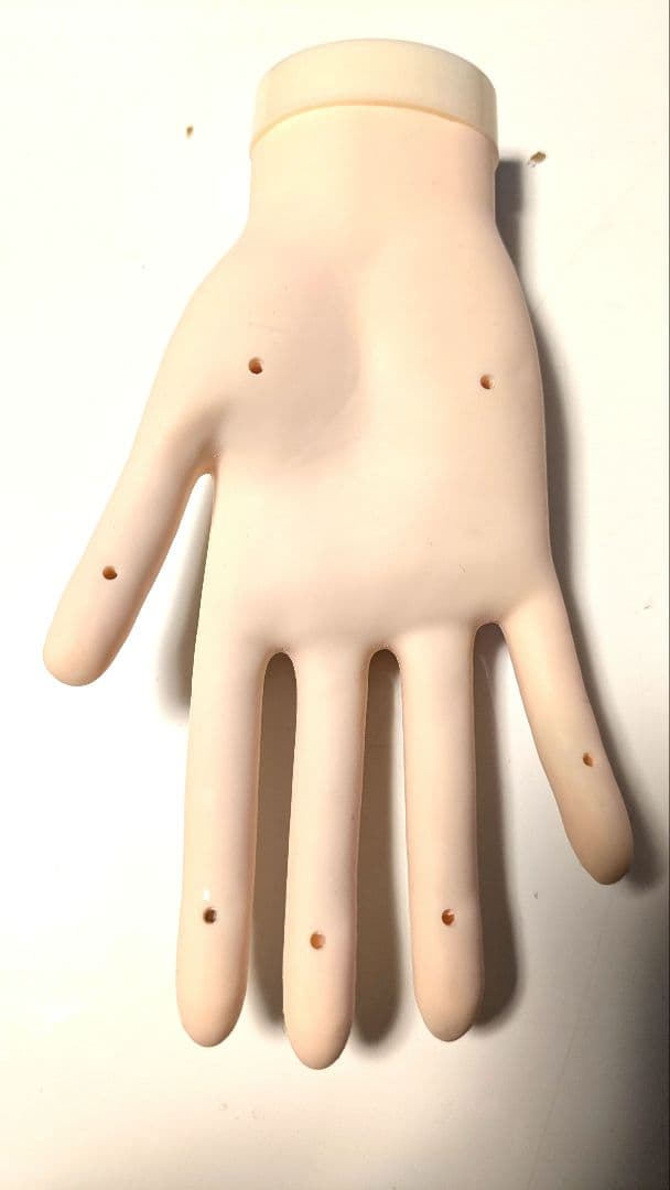 ネイル検定認定ハンドモデル