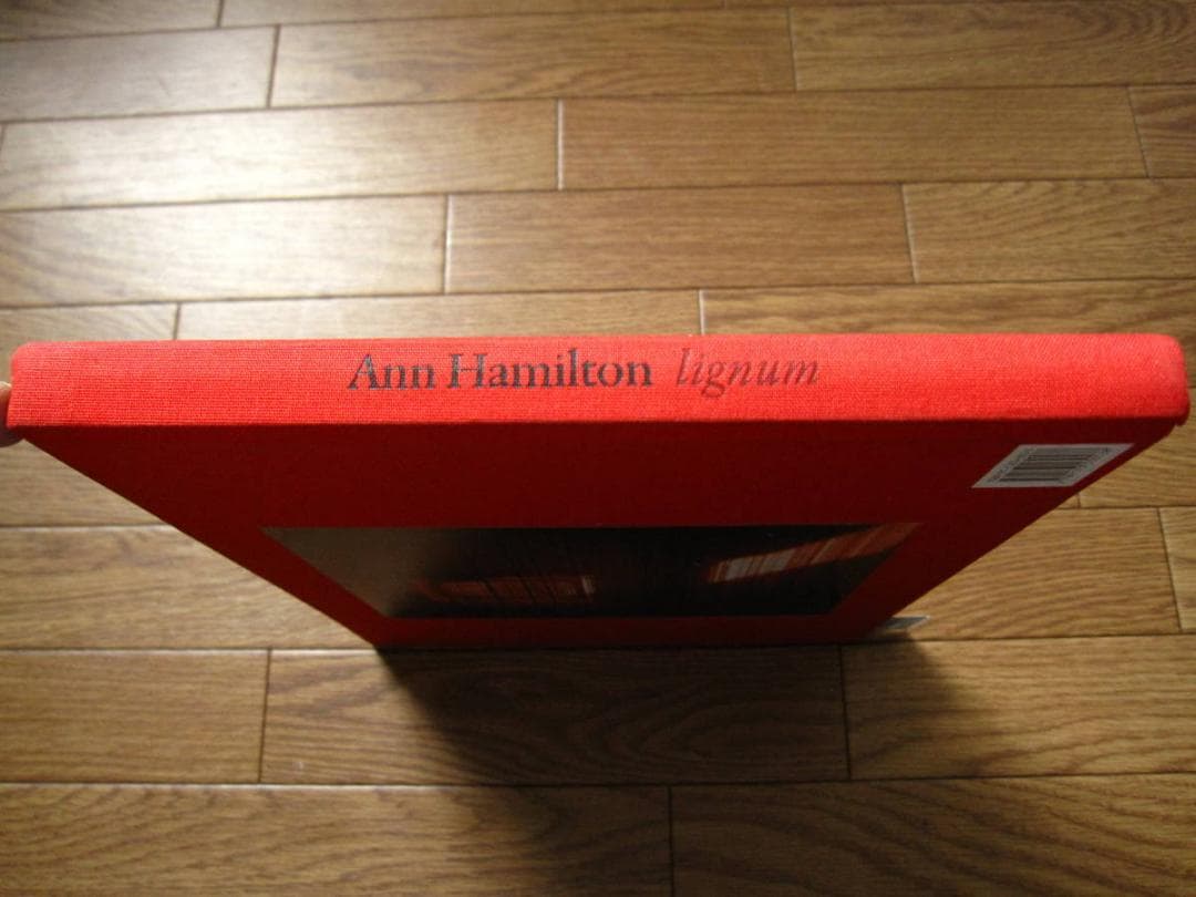 Ann Hamilton: Lignum　アン・ハミルトン　現代美術