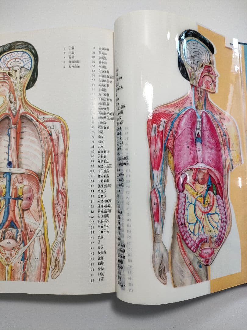 現代の家庭医学 5巻セット ケース付属 学研
