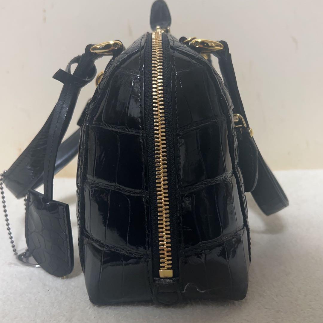 てへぺろ　SANPO クロコダイル　バッグ