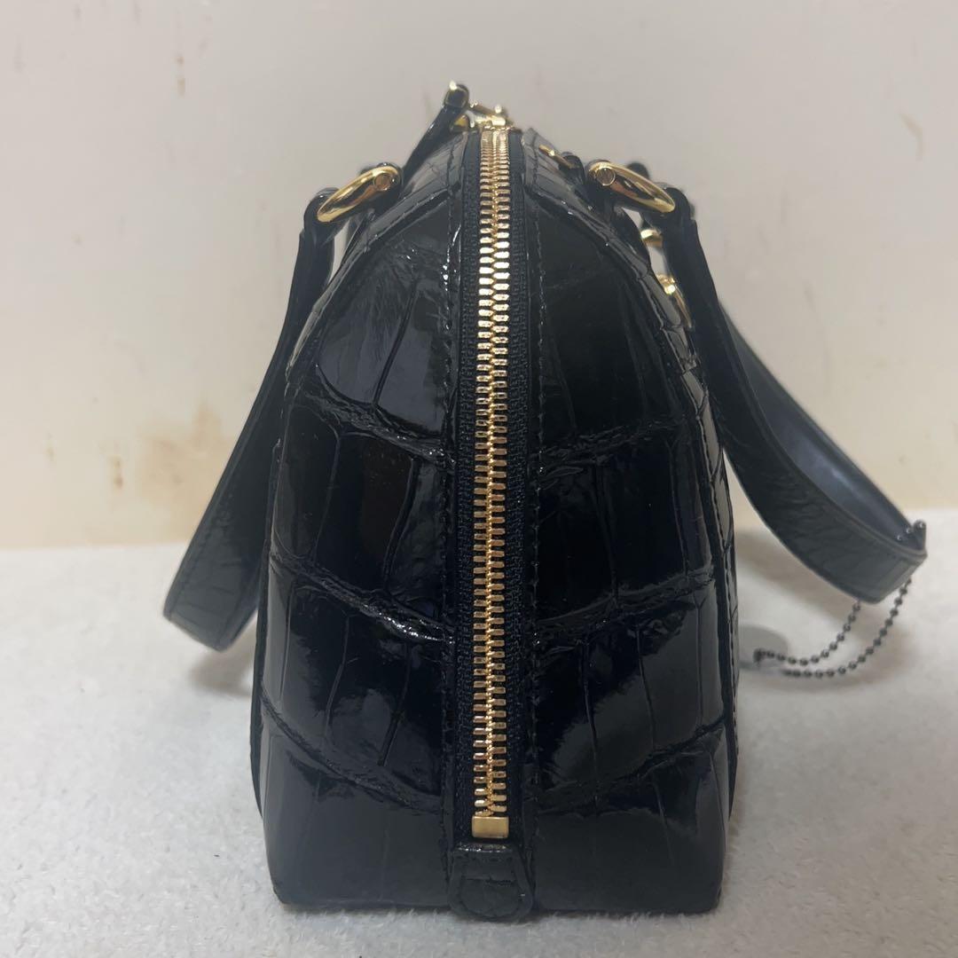 てへぺろ　SANPO クロコダイル　バッグ