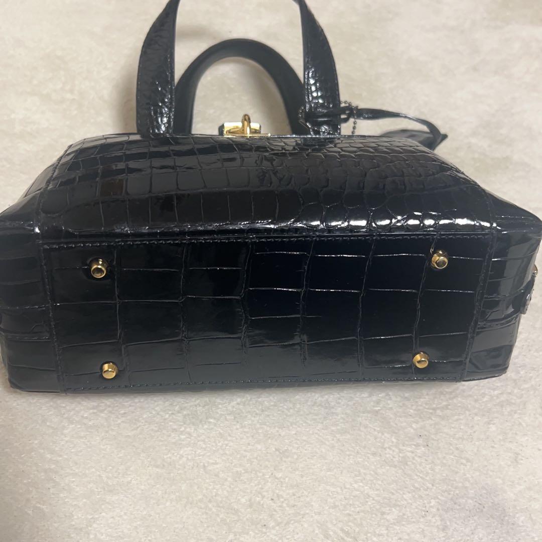 てへぺろ　SANPO クロコダイル　バッグ