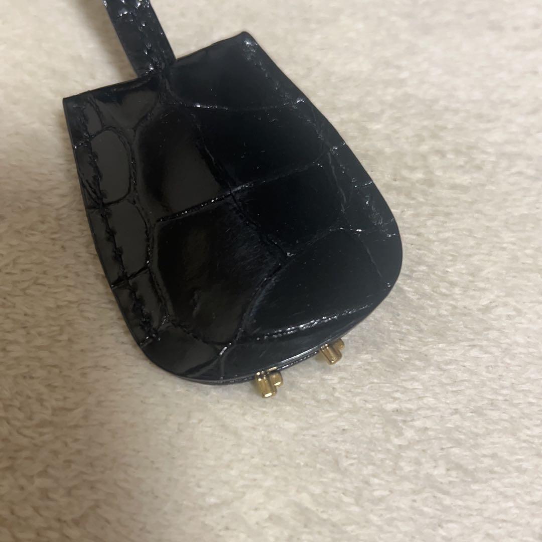 てへぺろ　SANPO クロコダイル　バッグ