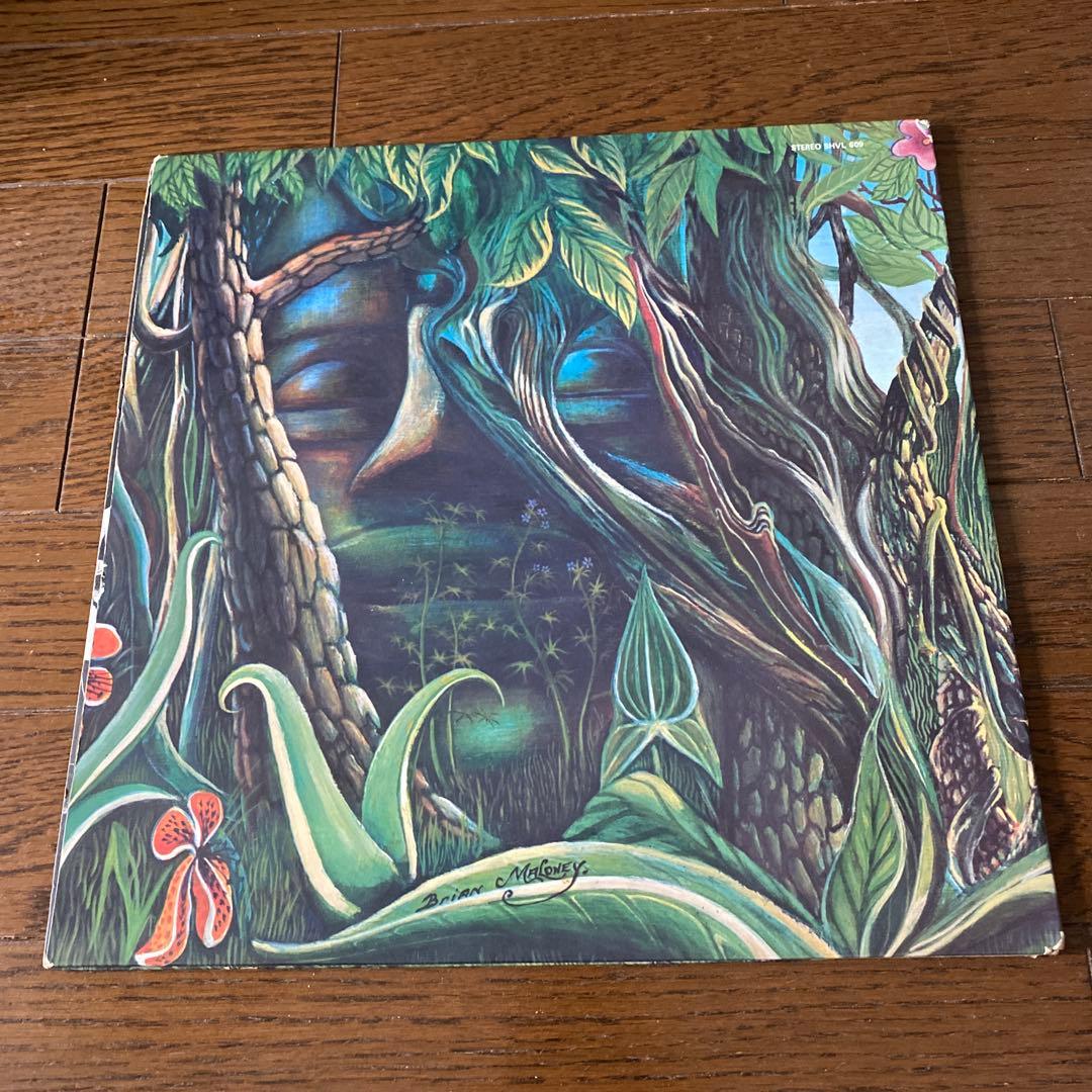 PIRANA／PIRANA II LP レコード