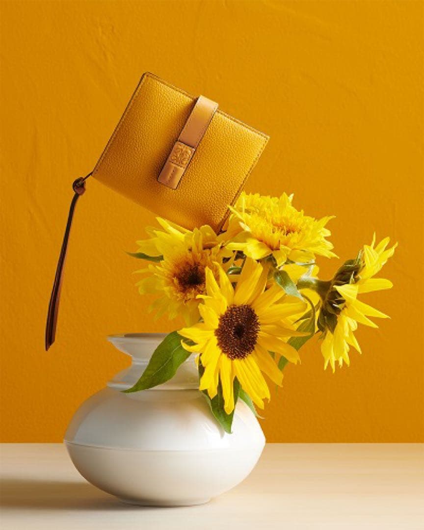 【美品】LOEWE コンパクト ジップ ウォレット