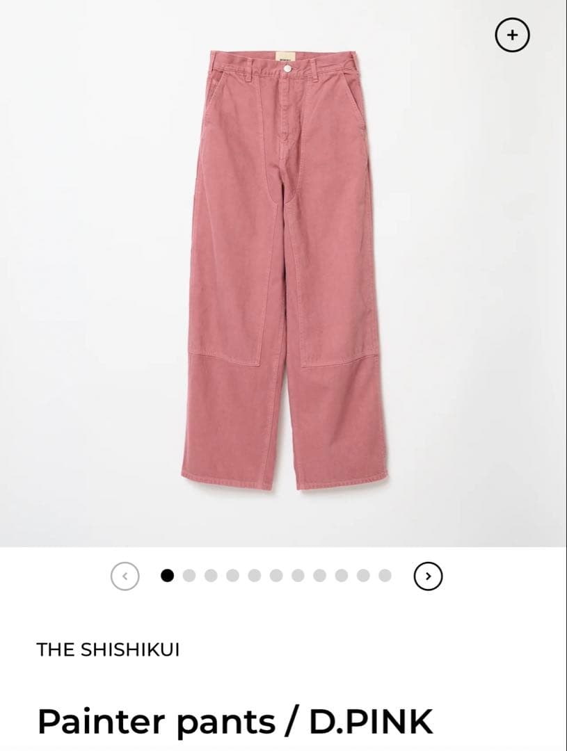 THE SHISHIKUI Painter pants シシクイ