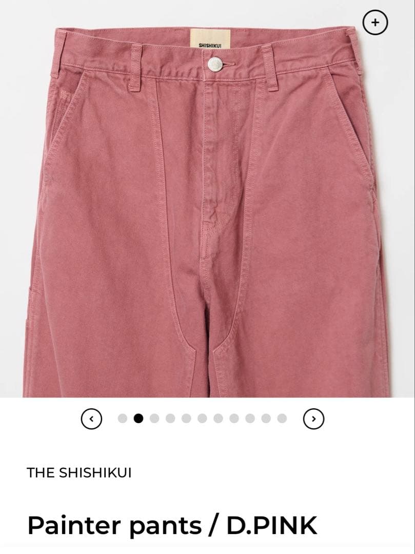 THE SHISHIKUI Painter pants シシクイ