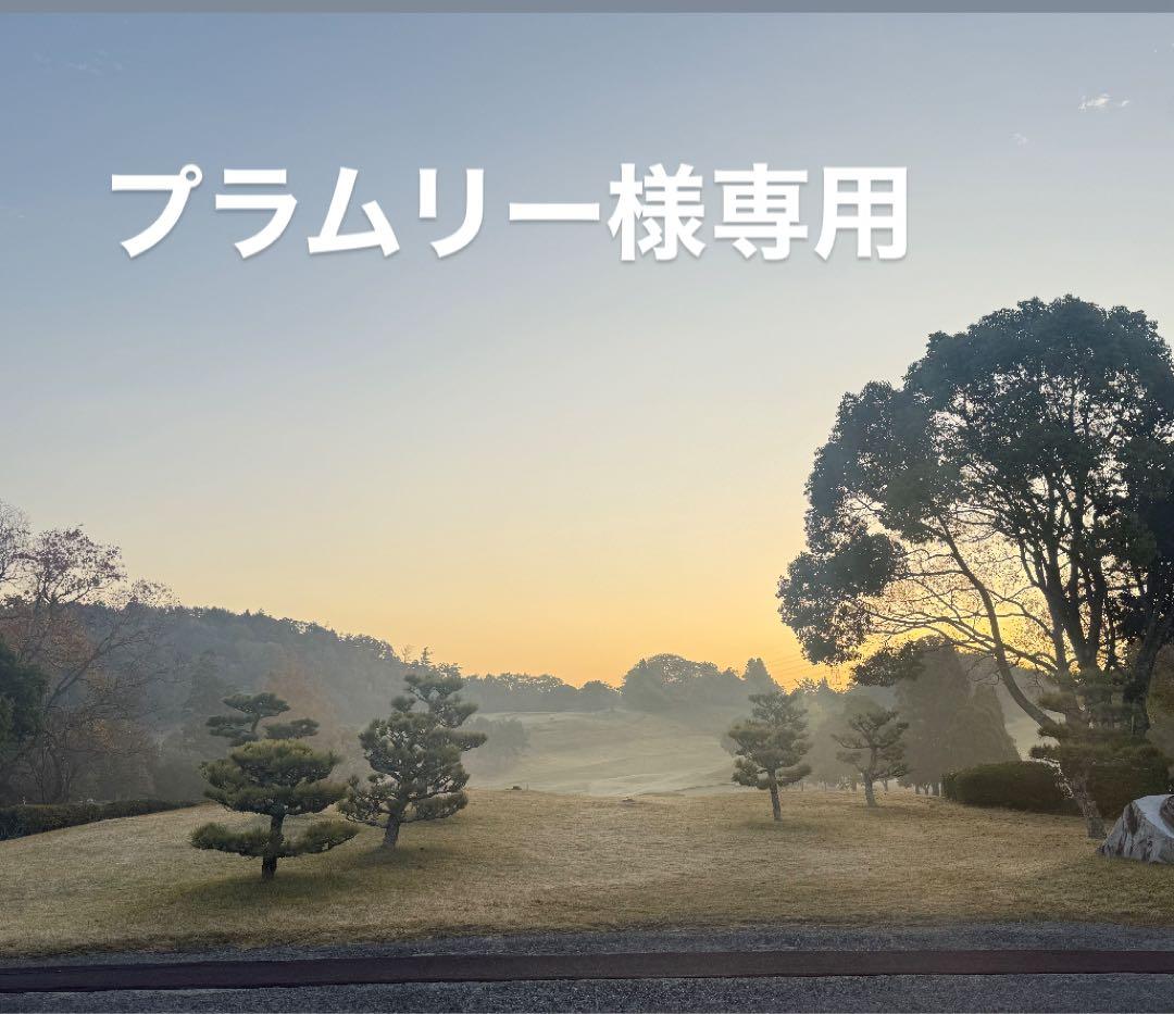 プラムリーレシーライフルサバゲーセット Quasarチューニング 電子トリ