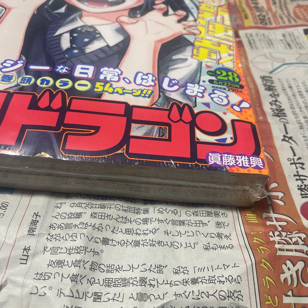 週刊少年ジャンプ 2022年28号 ルリドラゴン 新連載 連載開始号 マンガ雑誌