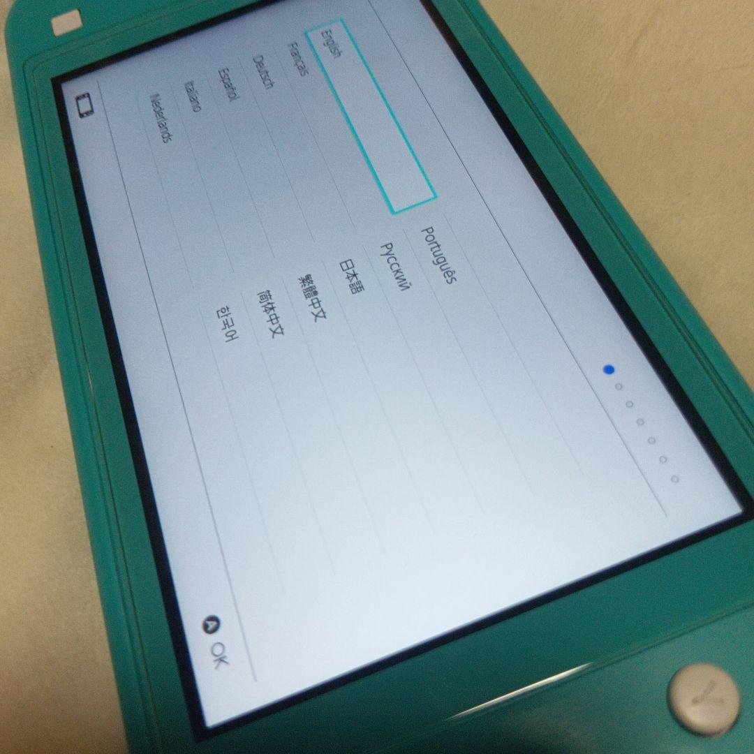 Nintendo Switch Lite ターコイズ 動作問題なし SDカード付