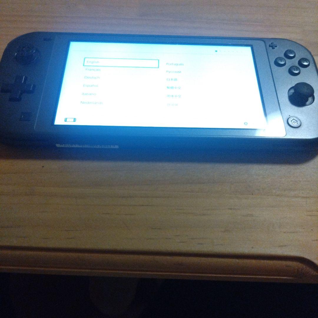 スイッチライト　純正プロコン