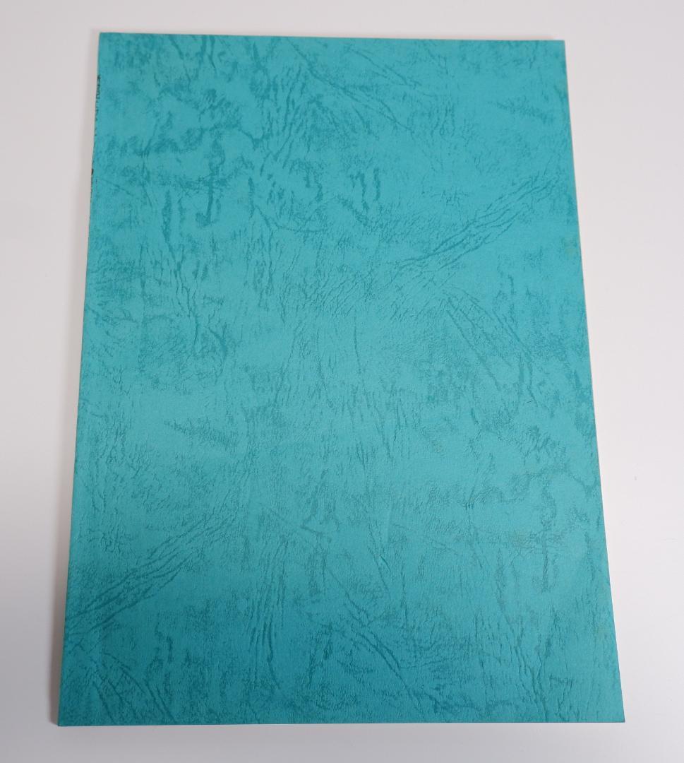 台本　新世紀エヴァンゲリオン　第25話　心の旅　庵野秀明