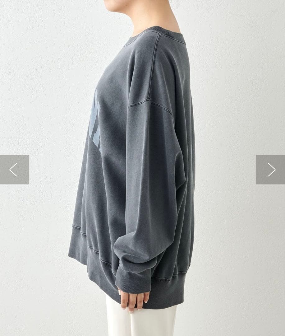 ウィムガゼット　ピグメントロゴウラケプルオーバー