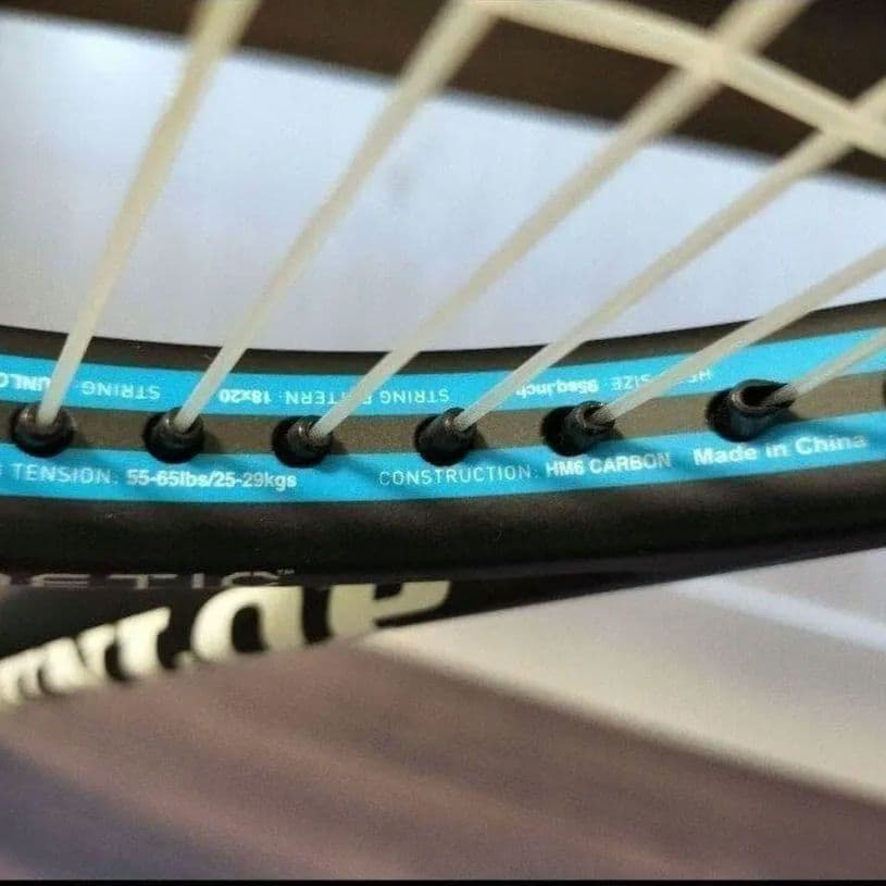 希少品 ダンロップ バイオミメティックス 200 PLUS 硬式 ラケット 青