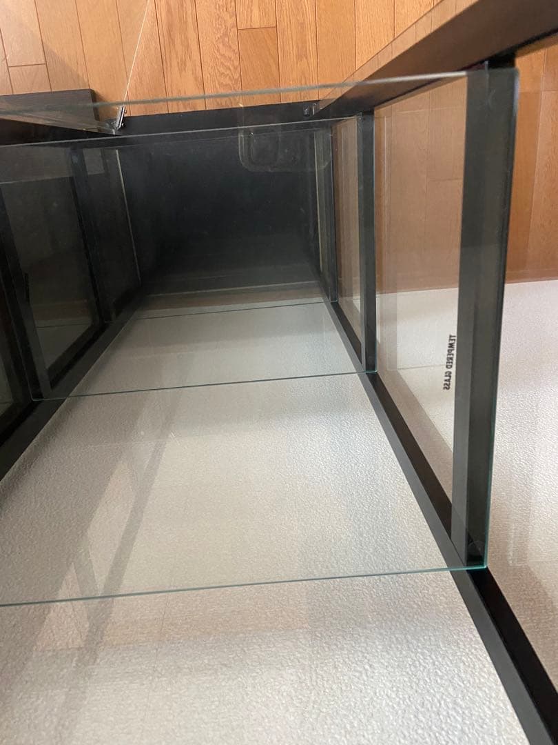 送料込み コレクションケース 5段 ブラック 強化ガラス 全面ガラス 組立て不要