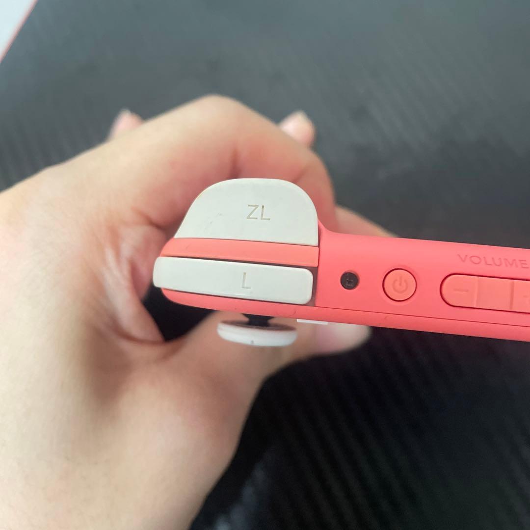 Switch ライト 箱無し