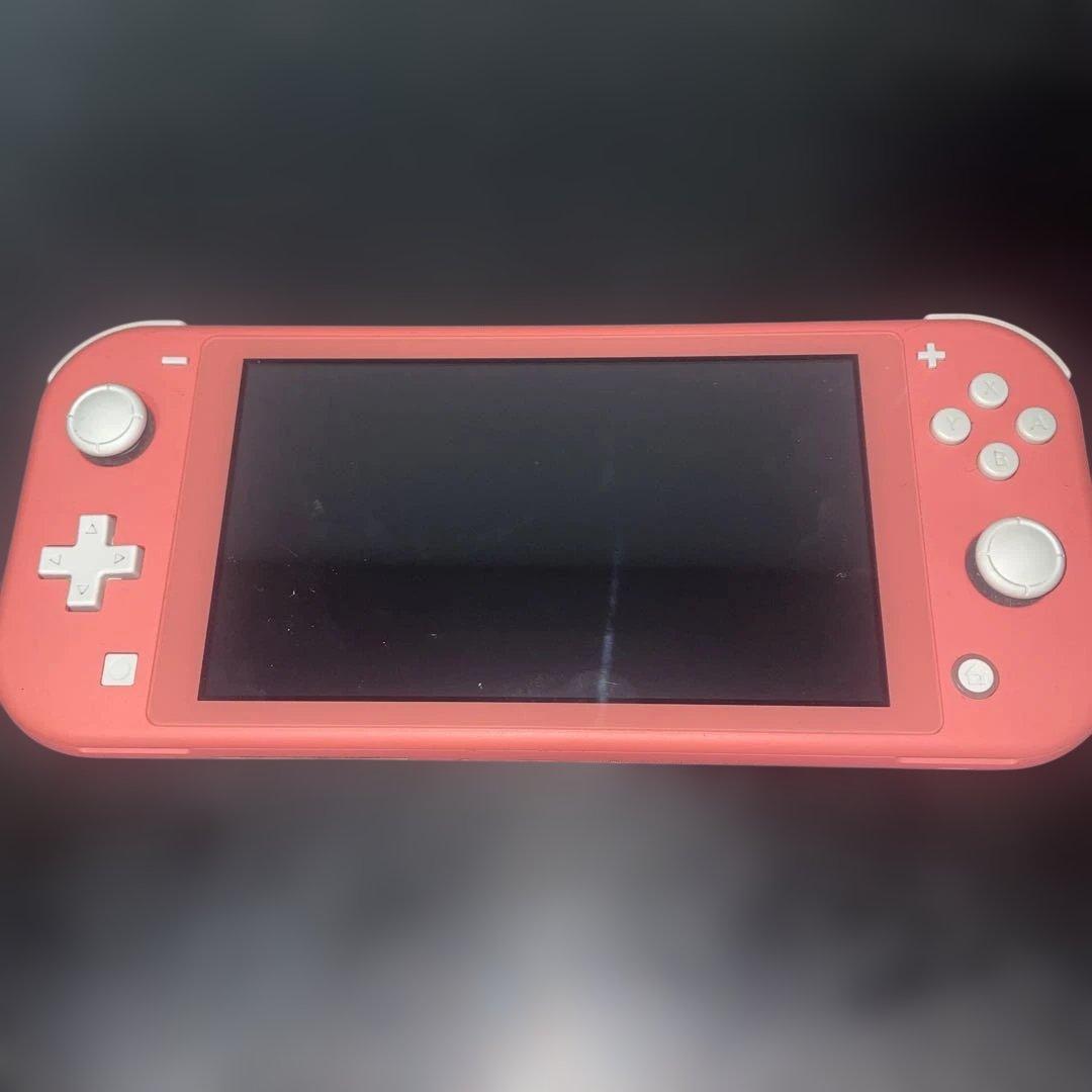 Switch ライト 箱無し