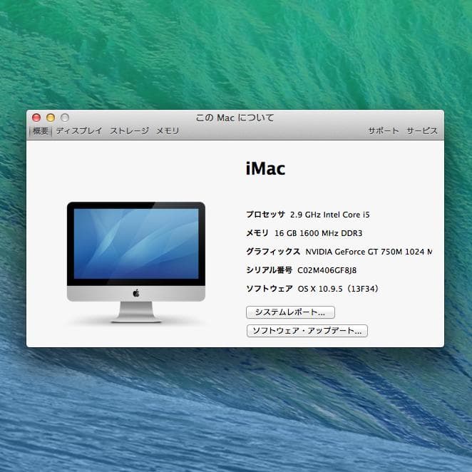 iMac 21.5インチ Late2013 16GB 1TB (Apple)
