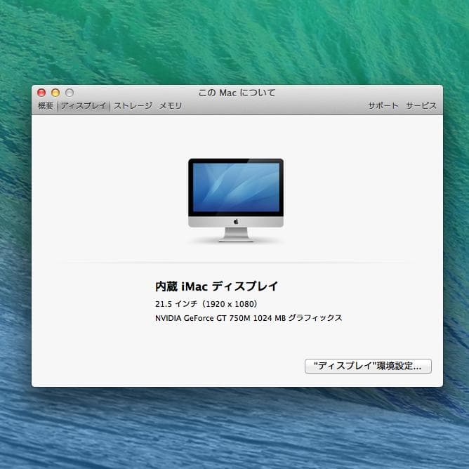 iMac 21.5インチ Late2013 16GB 1TB (Apple)