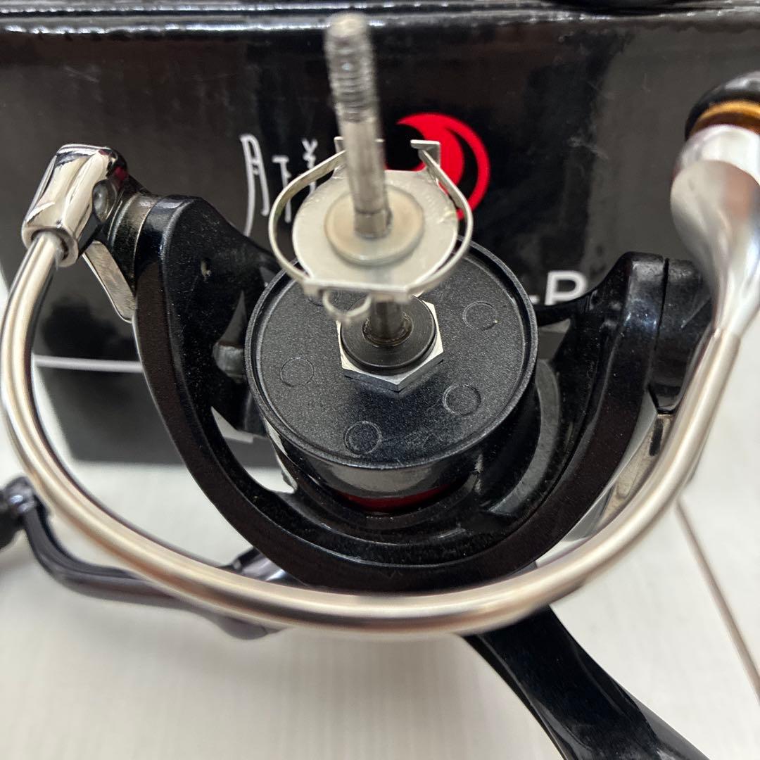 20月下美人　X LT2000S-P