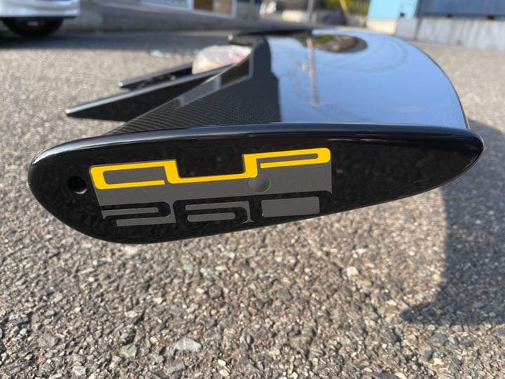 ロータスエキシージ CUP260 リアウイング　カーボン