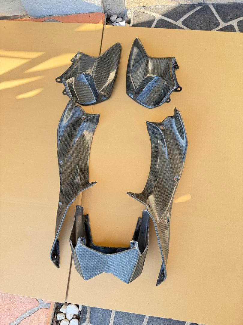 H2SXSE 2019式　カーボンファイバー バイクカウルセット