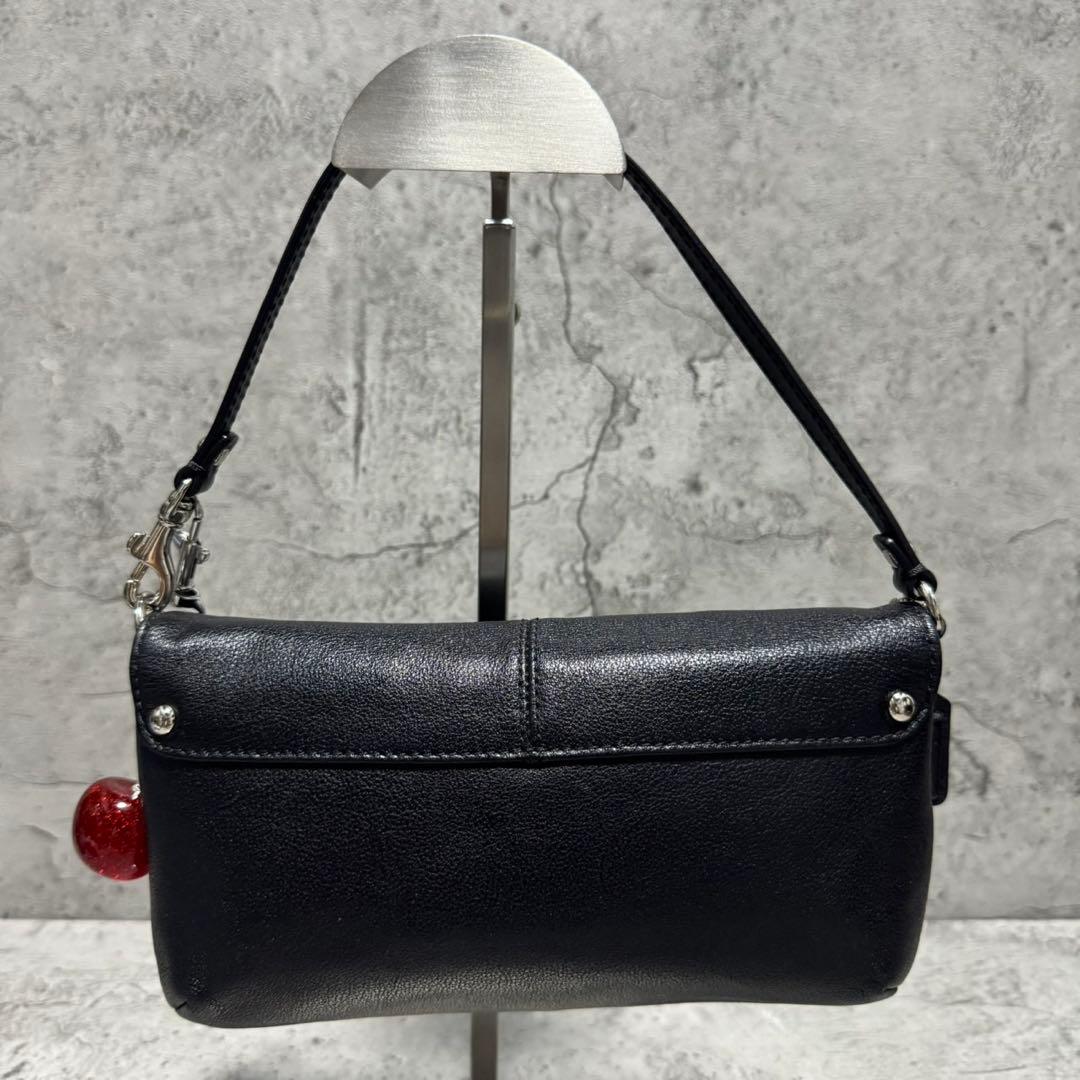 バッグ Coach Y2K Poppy Leather Accessory Pouch