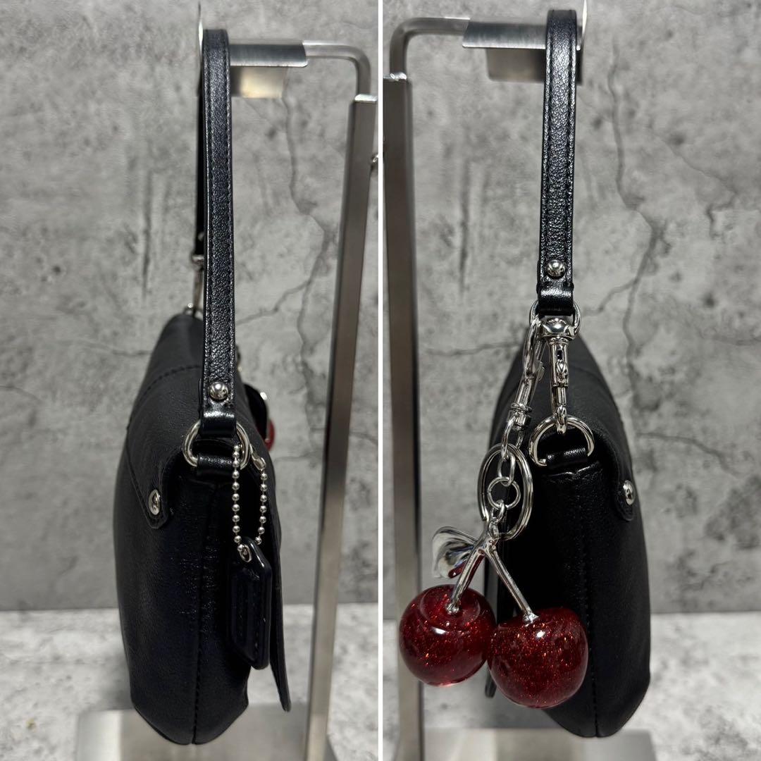 バッグ Coach Y2K Poppy Leather Accessory Pouch