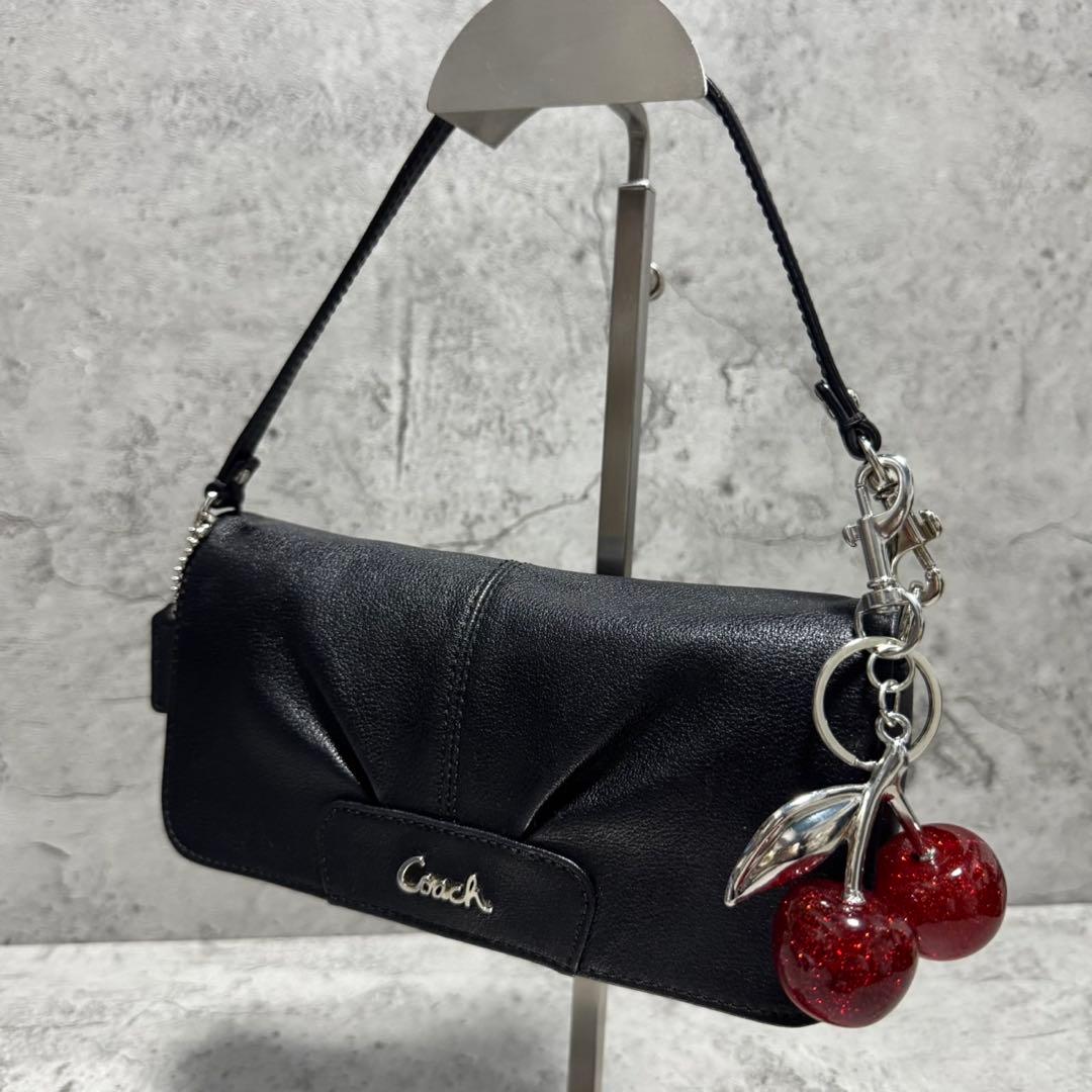 バッグ Coach Y2K Poppy Leather Accessory Pouch