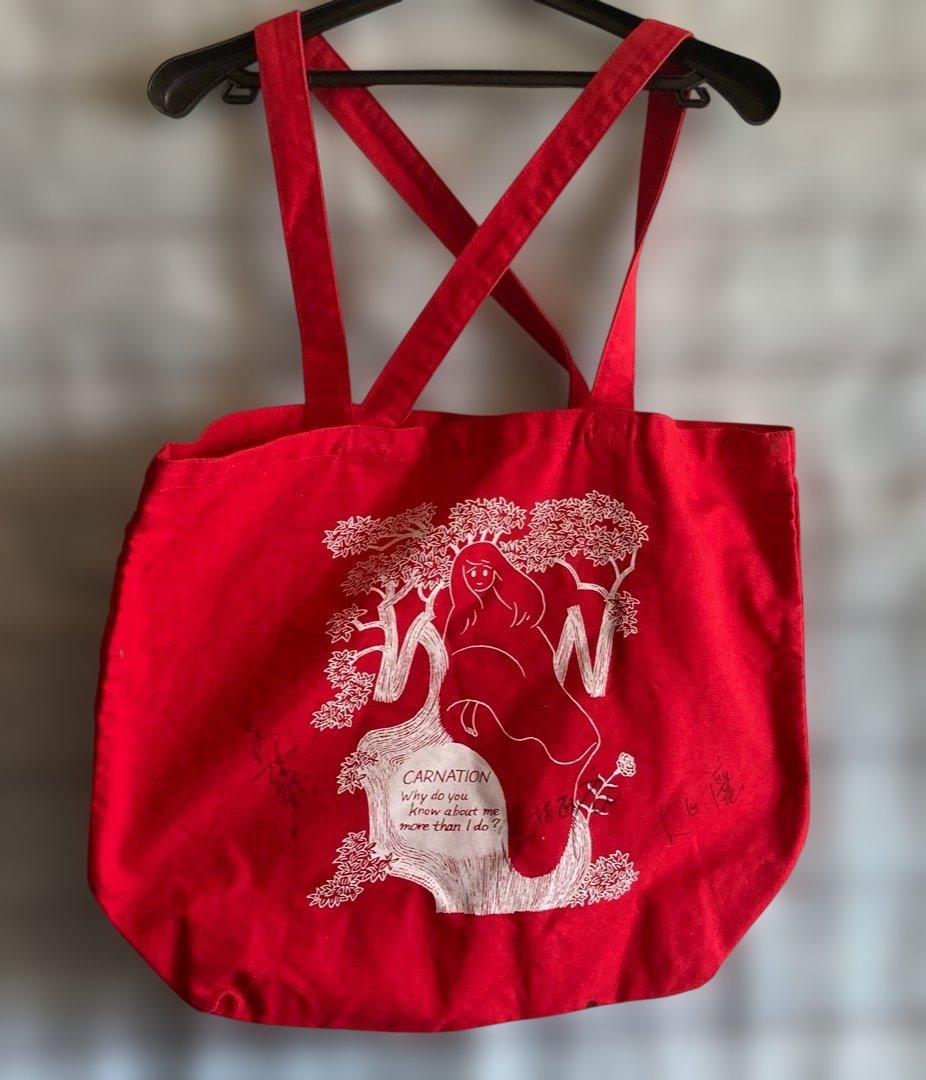 超希少『究極のカーネーション CARNATIONセット』DX仕様2枚組CD7枚他