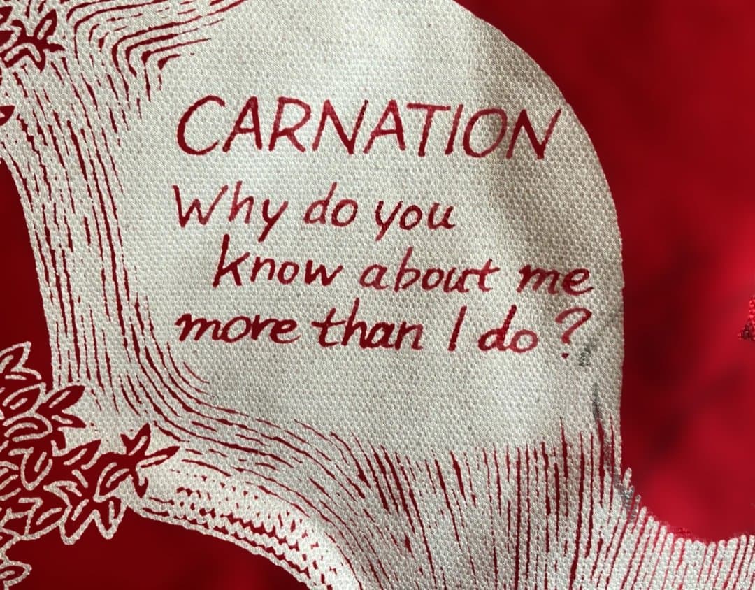 超希少『究極のカーネーション CARNATIONセット』DX仕様2枚組CD7枚他