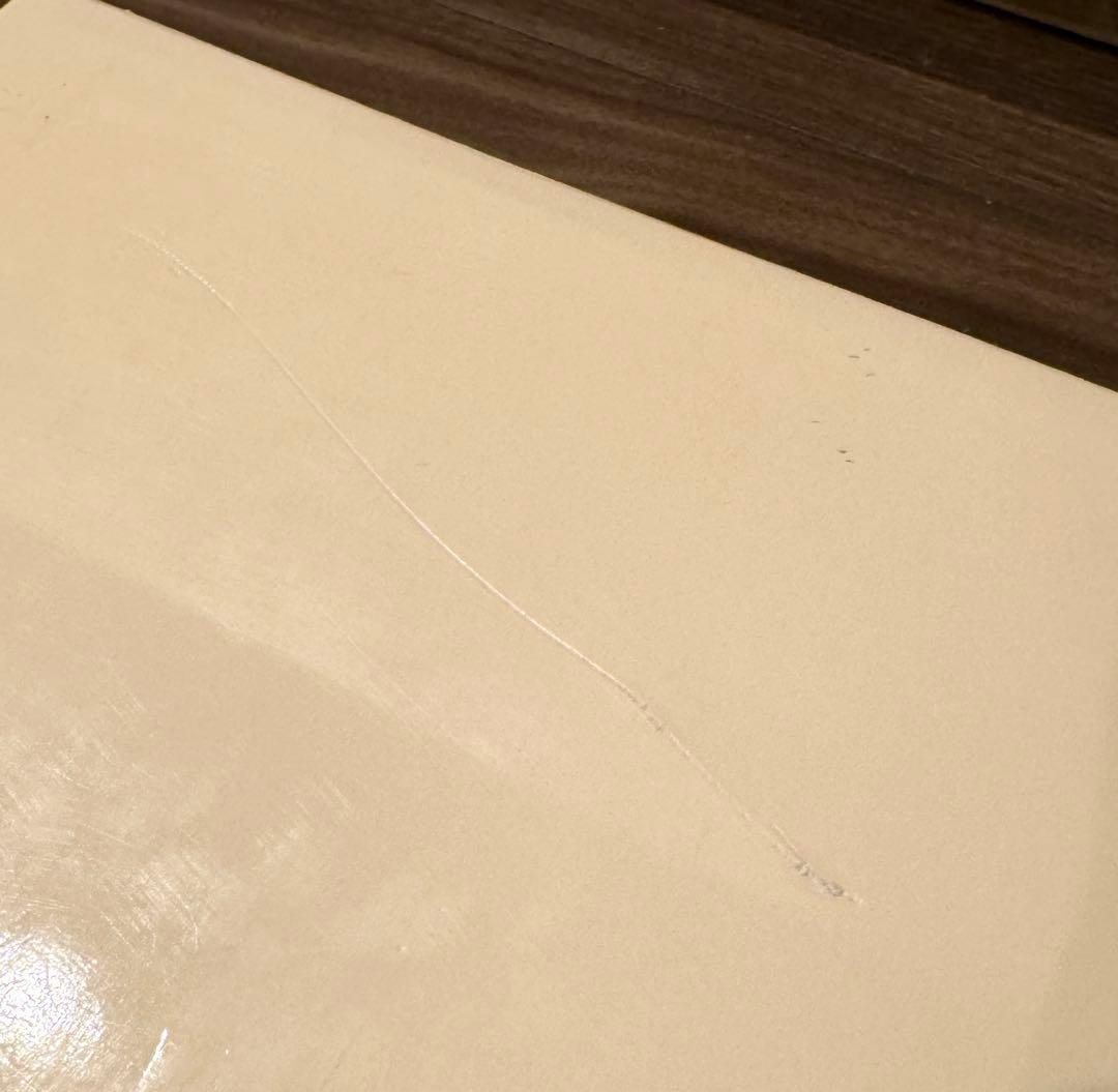 エゴンシーレ エゴン・シーレ: CATALOGUE RAISONNÉ 画集