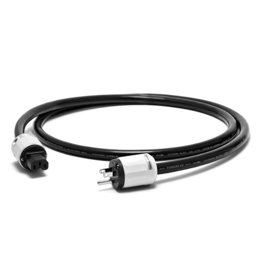 シ*ン様 オヤイデ電気 TUNAMI GPX-R V2　1.8m