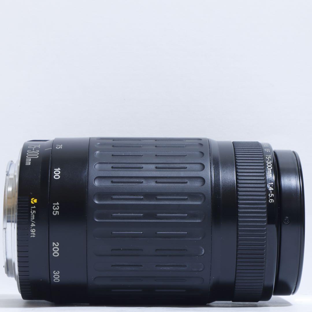 ◇大迫力300mm超望遠!!◇Canon純正 75-300mm 超望遠レンズ◇