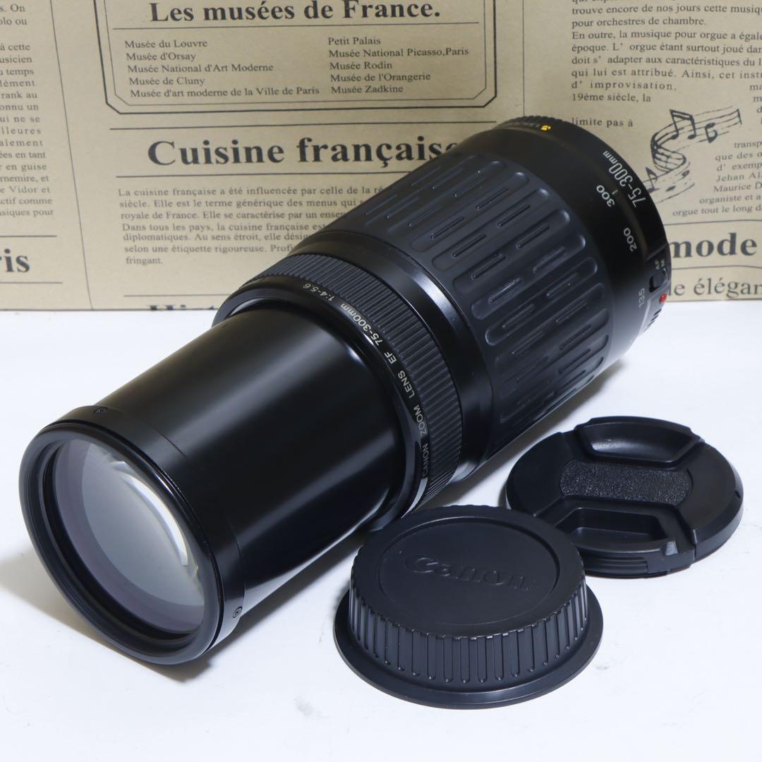 ◇大迫力300mm超望遠!!◇Canon純正 75-300mm 超望遠レンズ◇