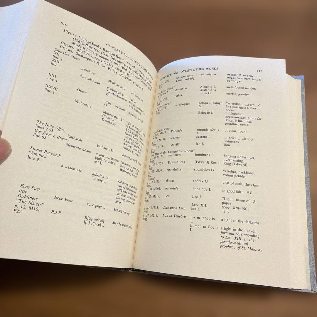 洋書 A Classical Lexicon for Finnegans Wake