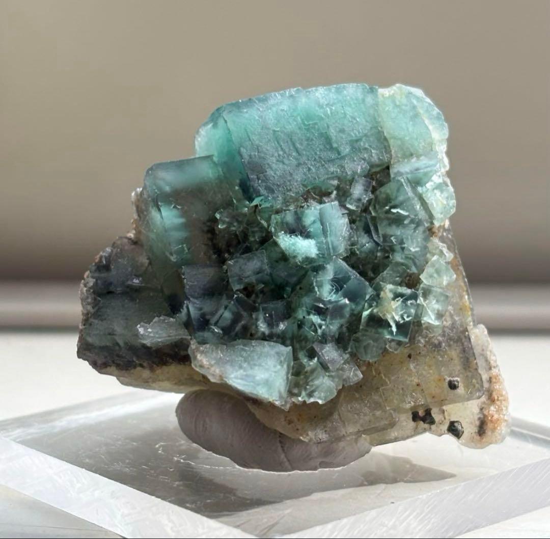 k*g様 レディアナベラ　toxic apple pocket フローライト　レ