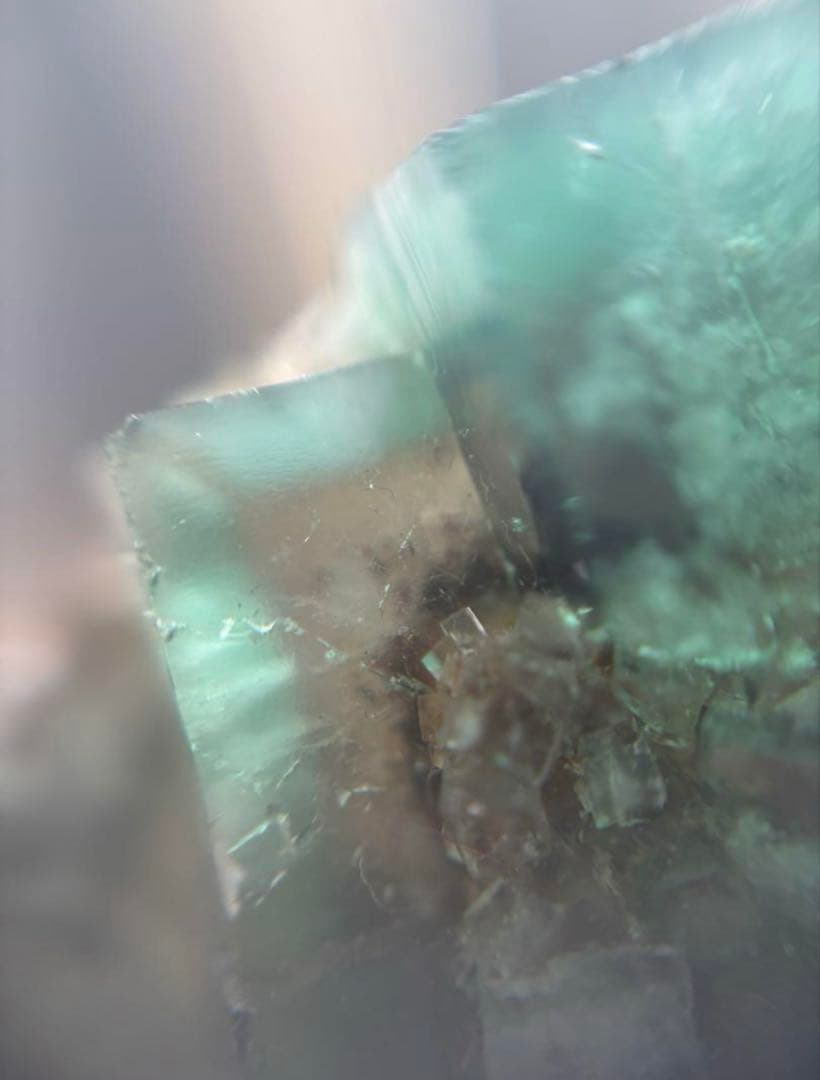 k*g様 レディアナベラ　toxic apple pocket フローライト　レ