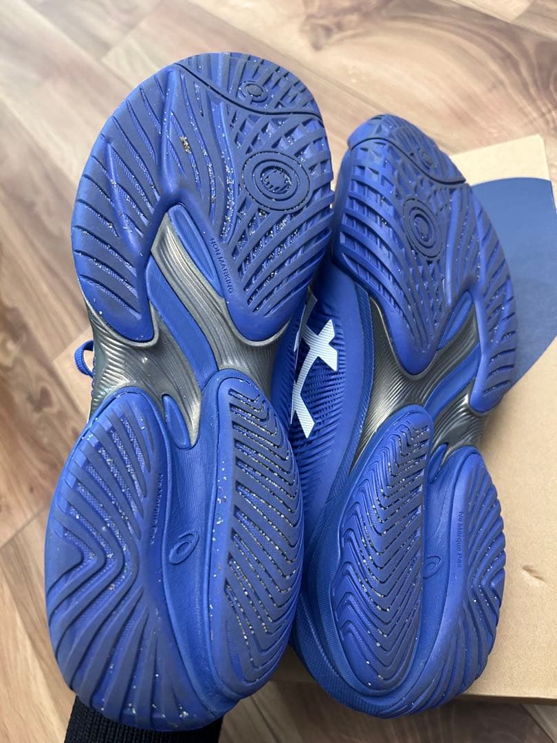 asics Court FF 3テニスシューズ 青 ジョコビッチ　アシックス