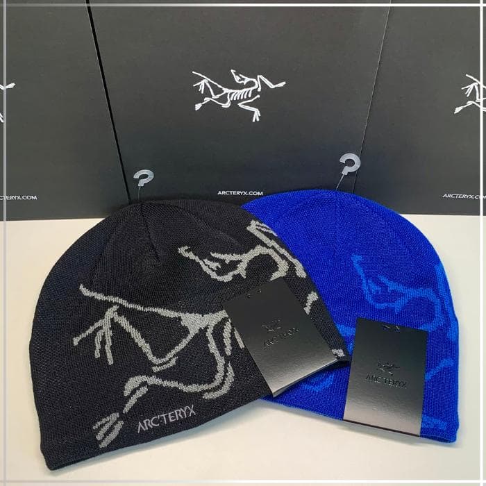 ARC'TERYX ニット帽 　ブルーのみ