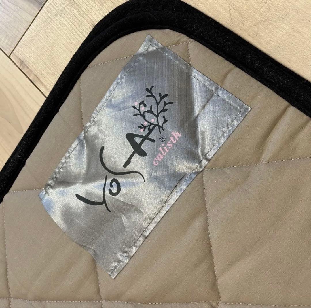 ヨサ　YOSA カーリスマット　75×140 チタンボルスター