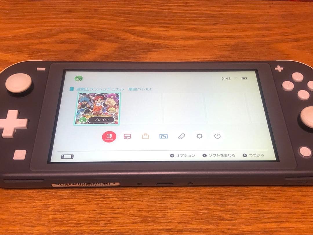 Nintendo Switch Lite グレー 本体　送料無料‼️